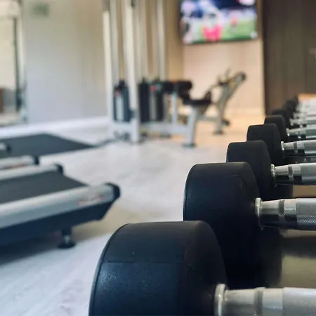 Mercure Centre Clemenceau فندق ديجون