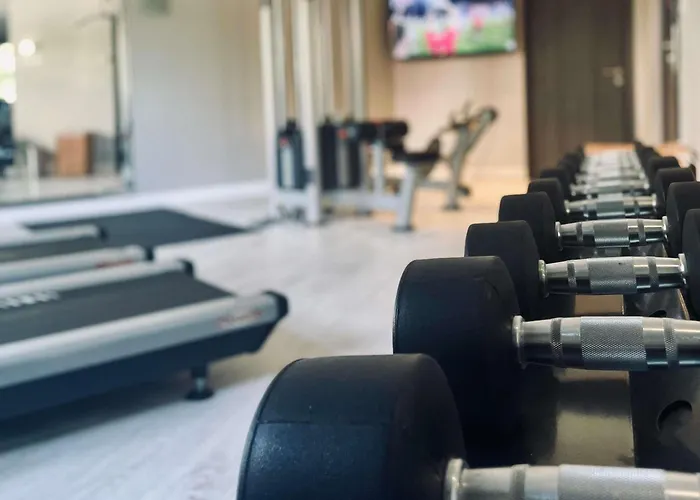 Mercure Centre Clemenceau Hotel Dijon